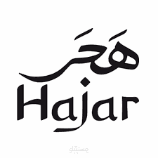 كتابة رؤية كاملة عن شركة هجر للتمور