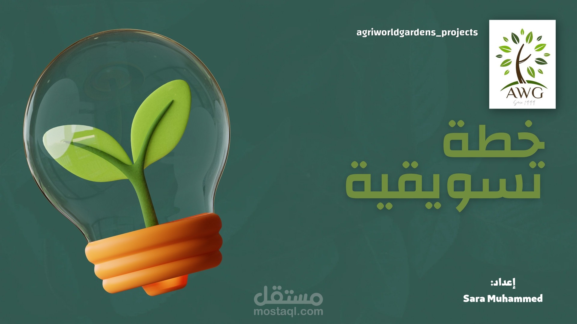 خطة تسويقية لتحديد الجمهور المستهدف وتحليل الوضع الحالي للمنافسين