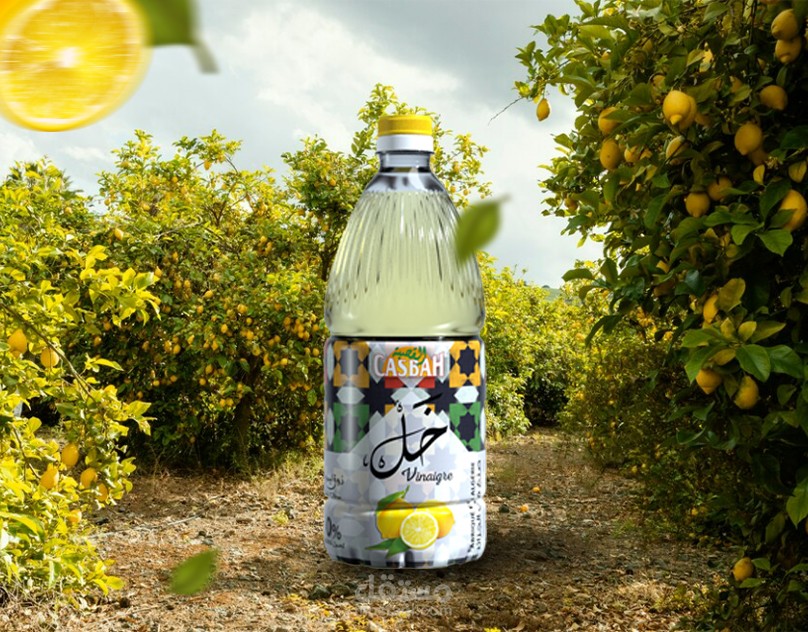 Vinegar Social Media Posts l Casbah Algerie