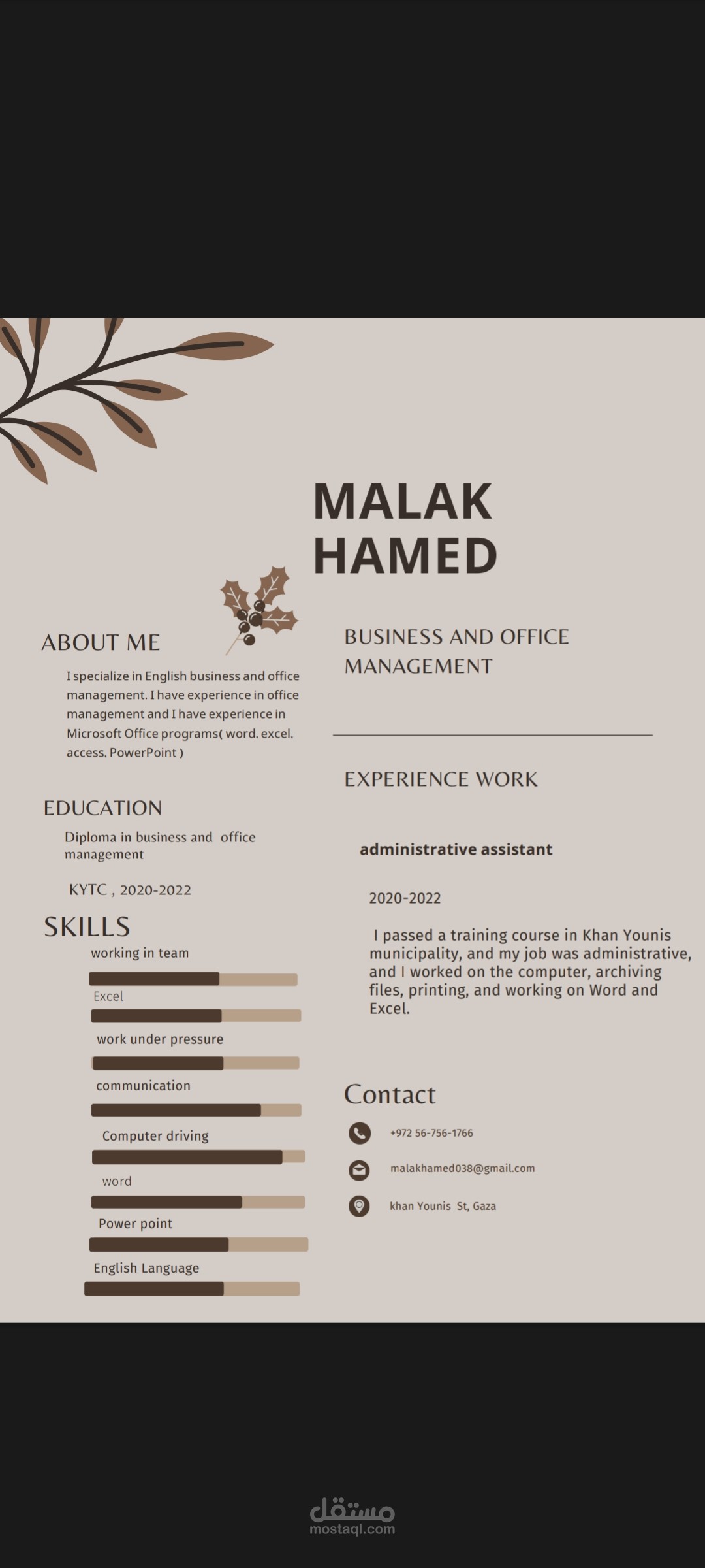 تصميم سيرة ذاتية احترافية