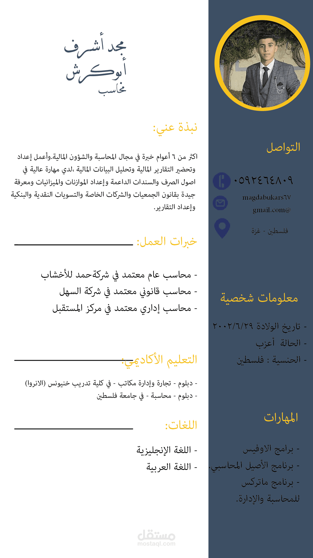 مثال نبذة لمحاسب