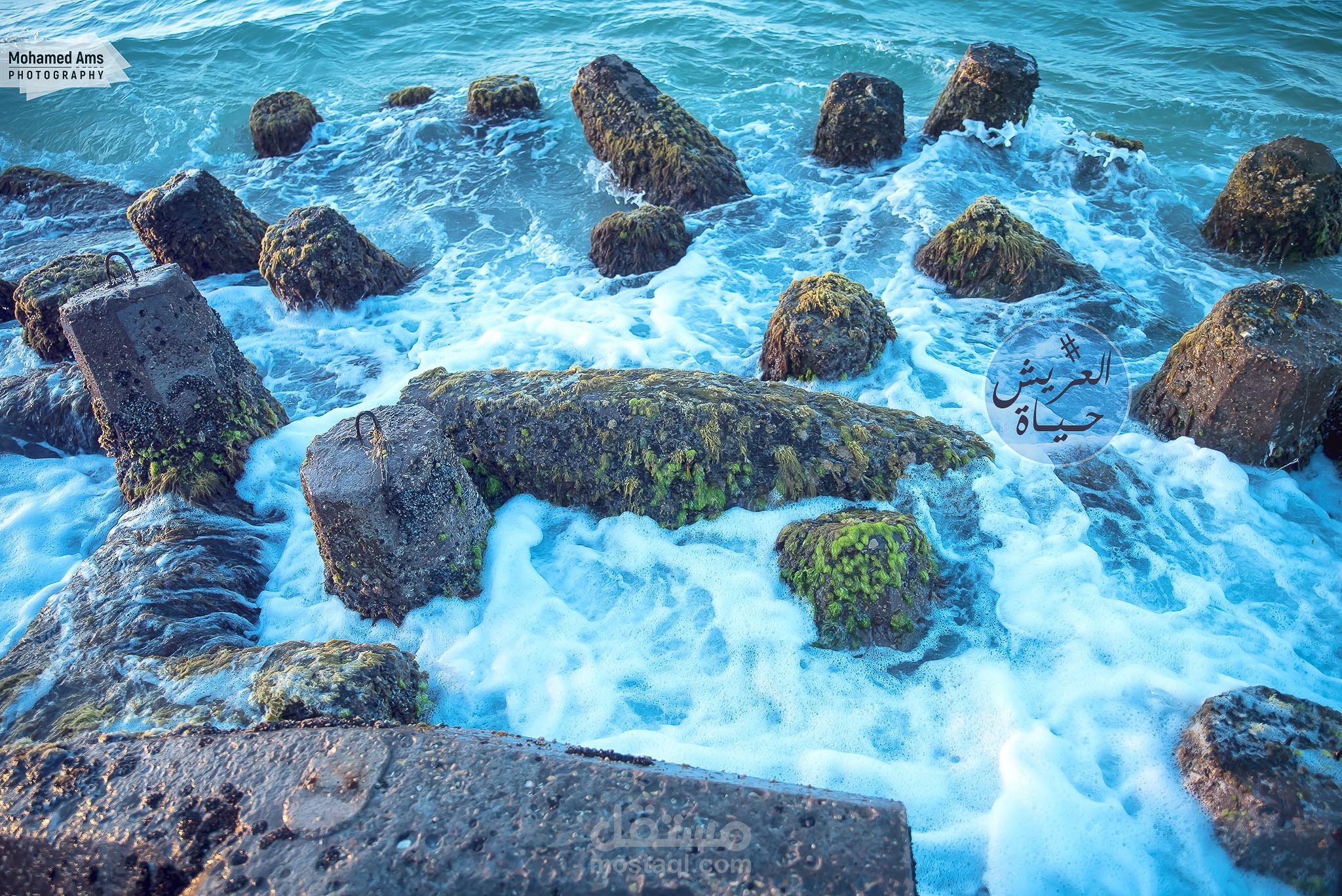 تصوير طبيعة ومدن