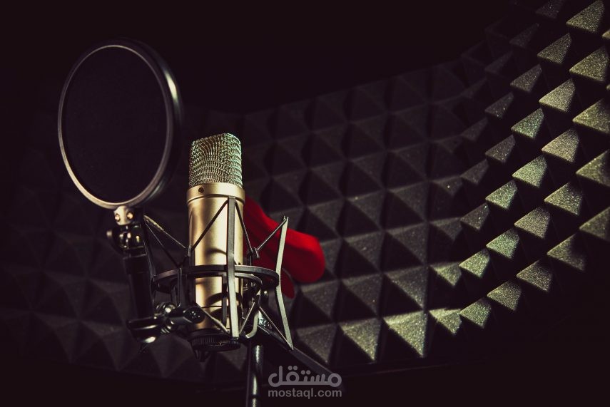 تعليق صوتي