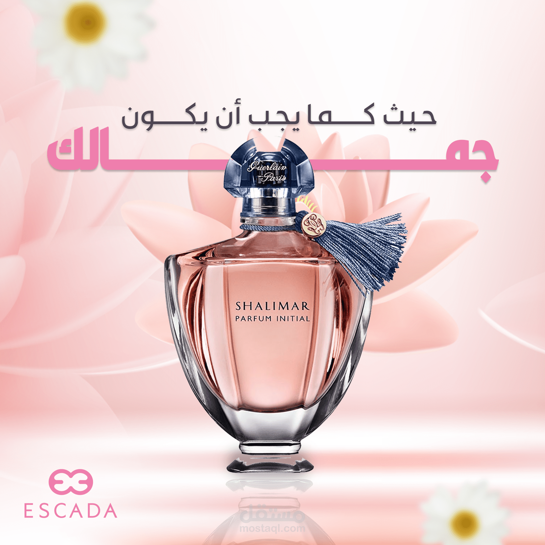 تصميم سوشل ميدل