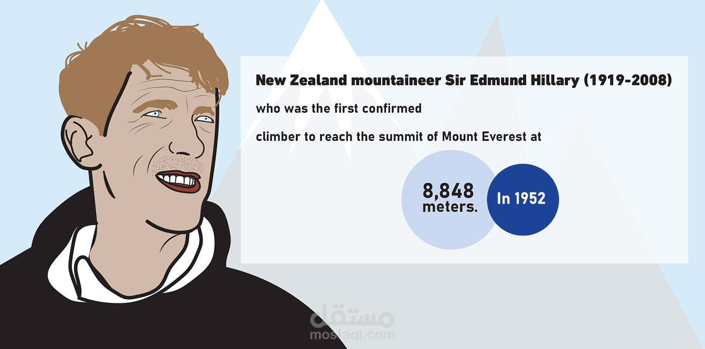 infographic and 2d illustration