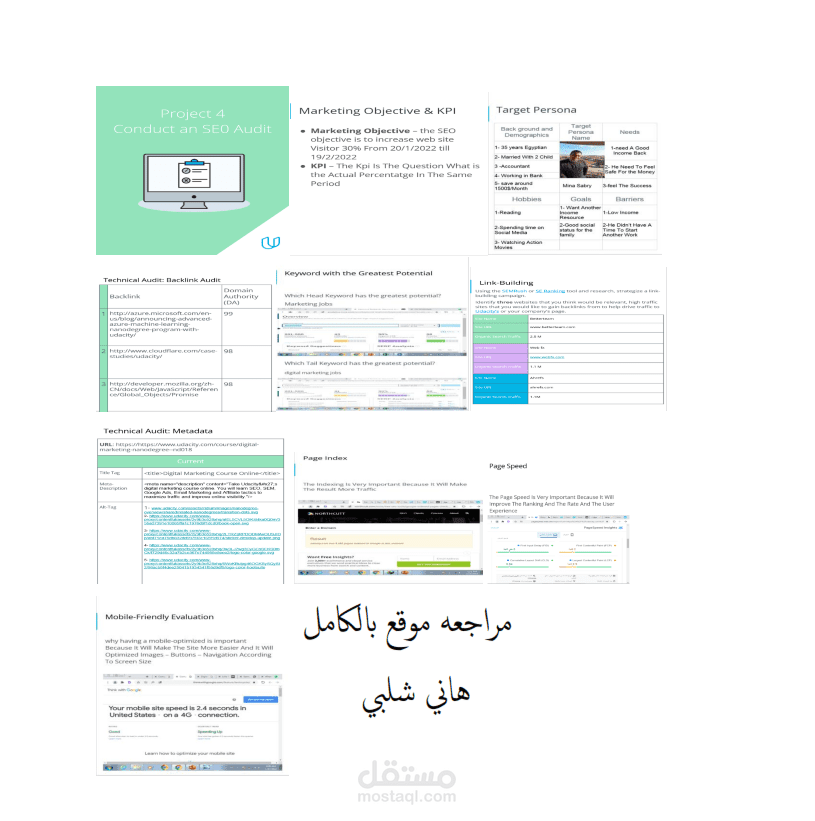 FullWeb Site Audit Seo