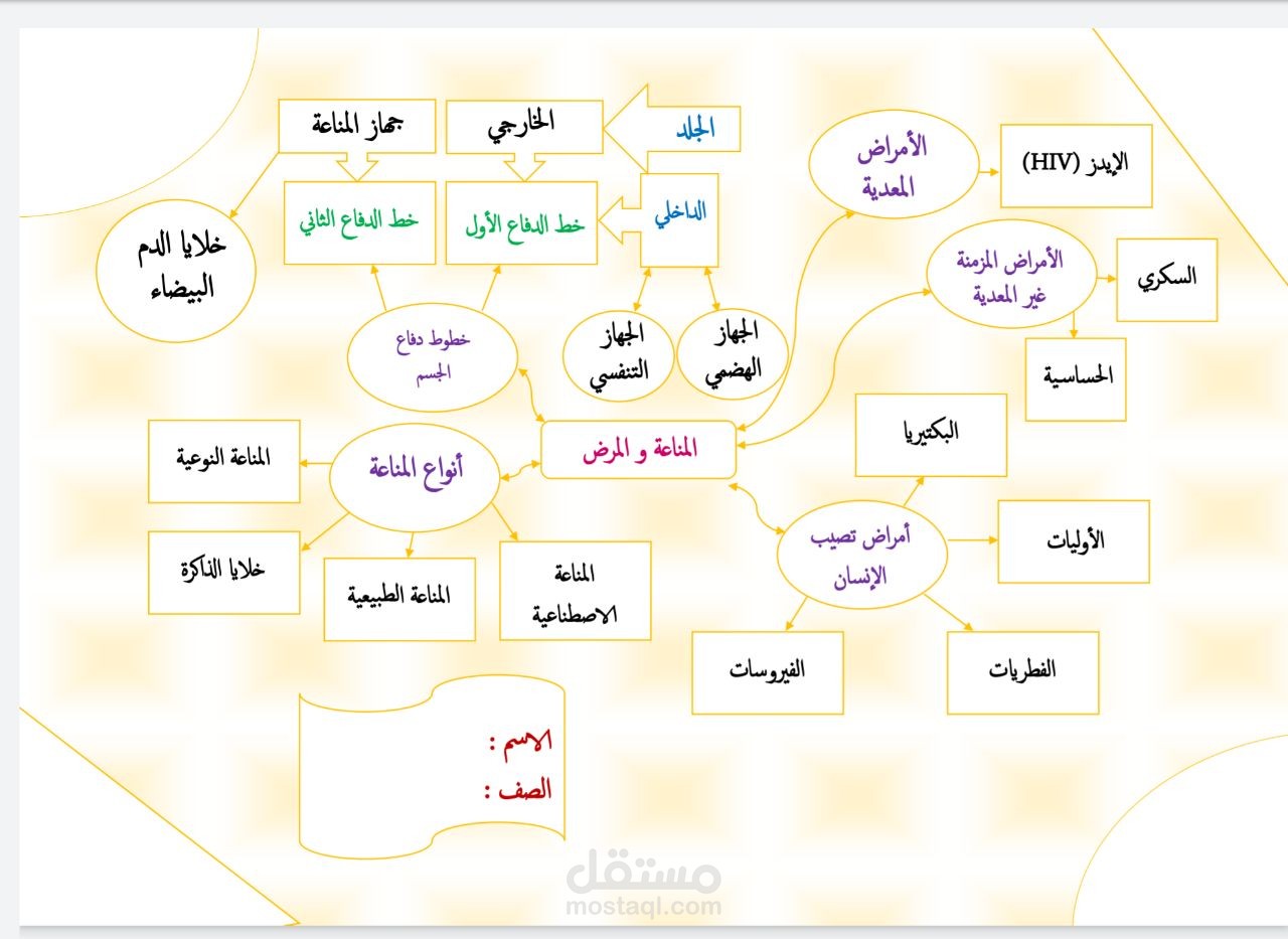 خريطة مفاهيم