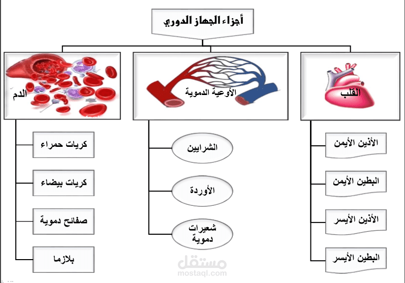 مذكرة كتاب العلوم الصف الثامن- منهاج الكويت