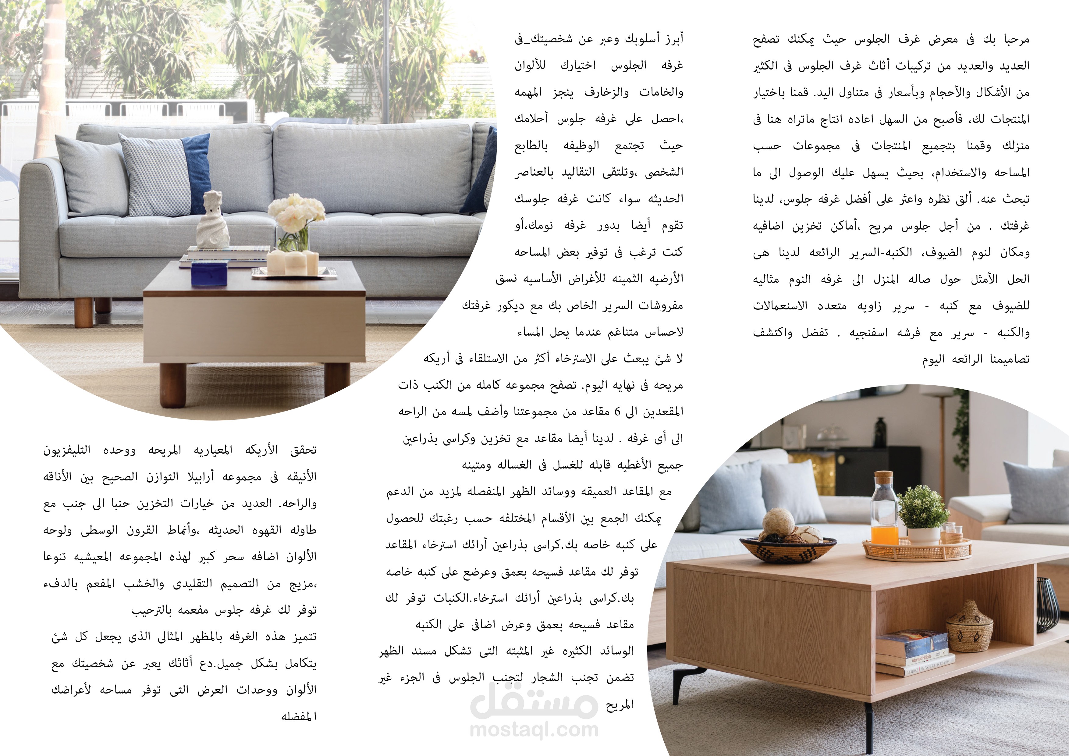 (BROCHURE  (PINOCCHIO