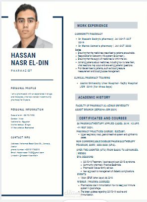 Black Professional Resume