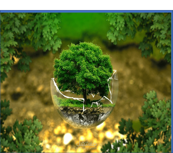 تصميم عروض تقديمية