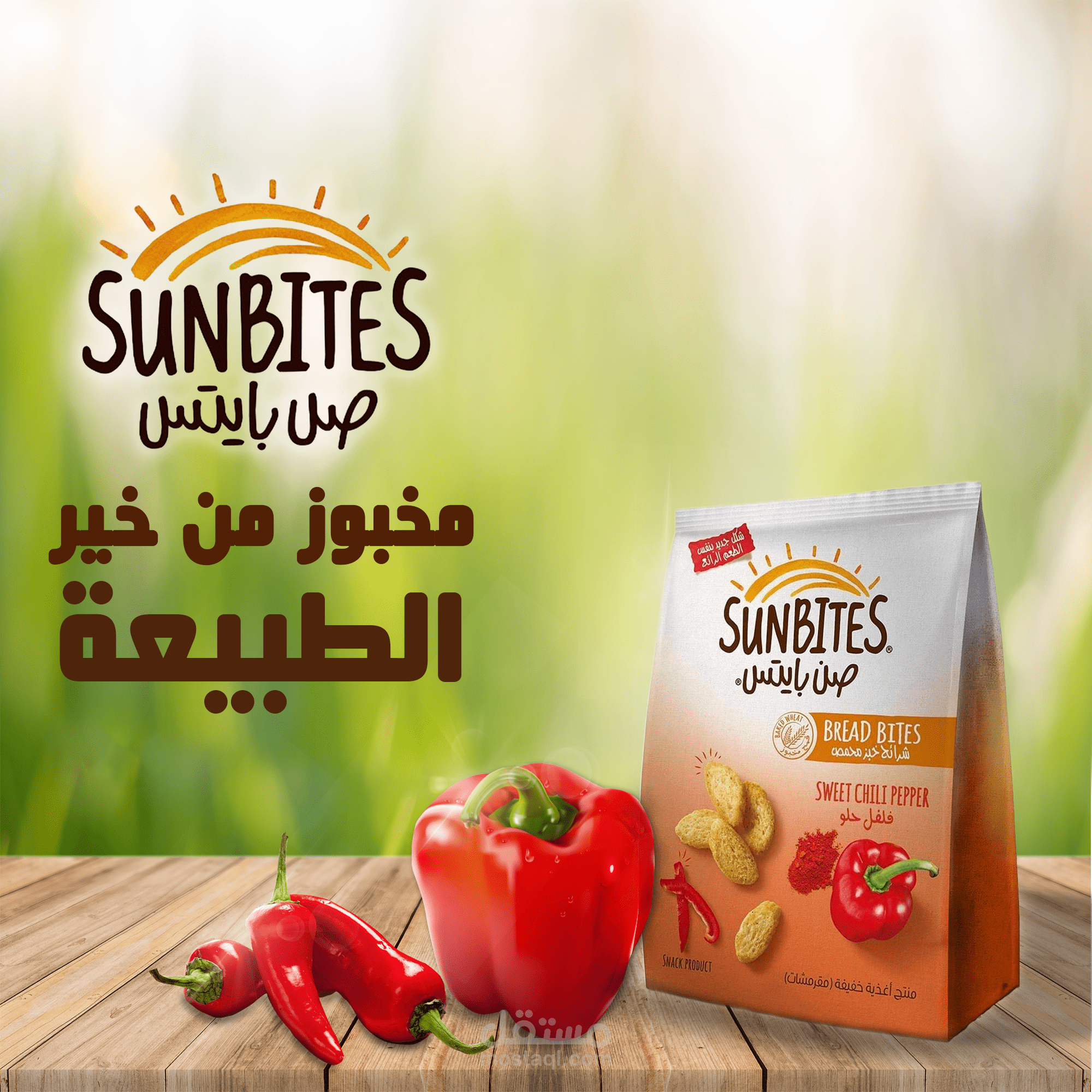 Social Media (Sunbites )