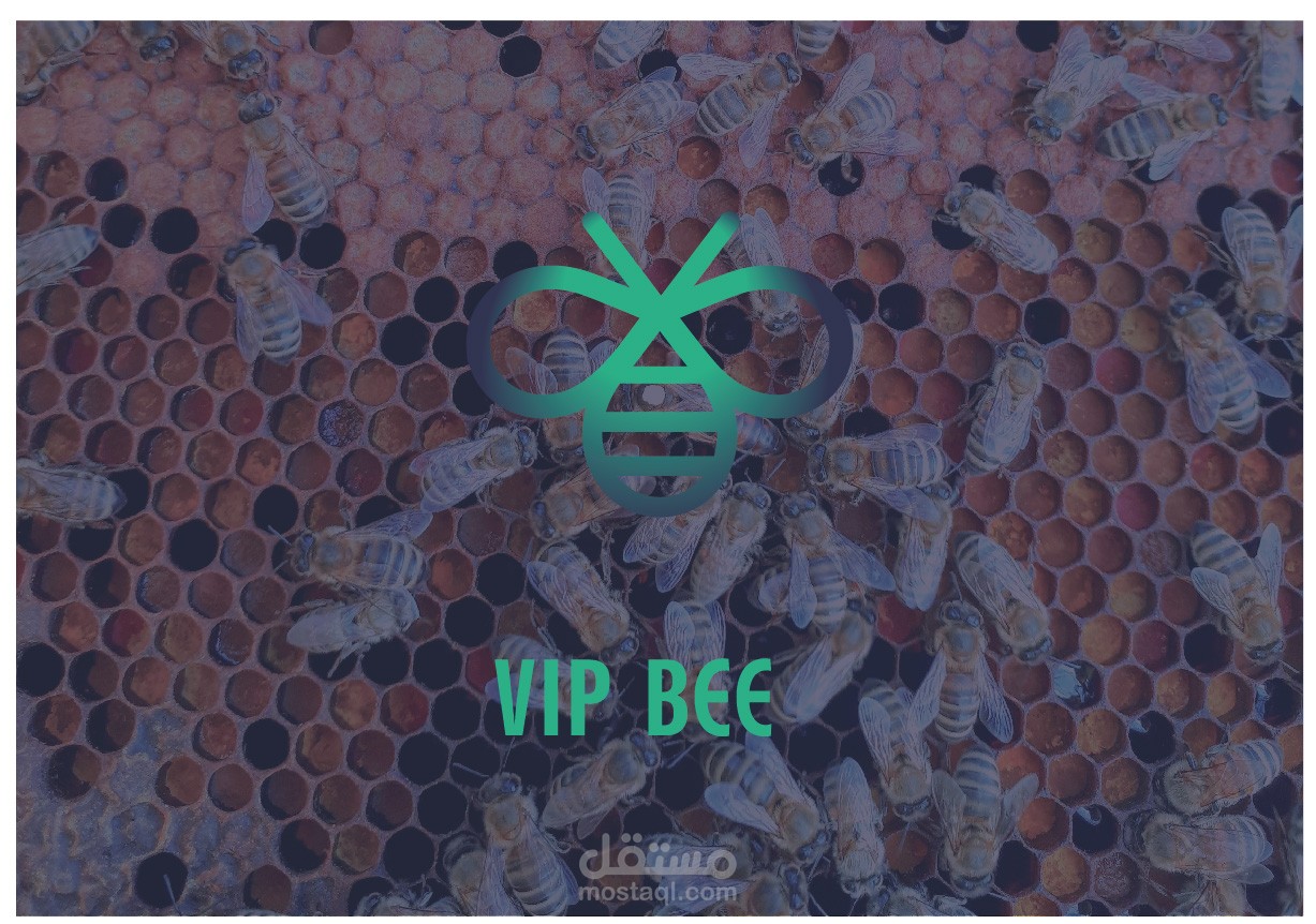 Visual Identity Design