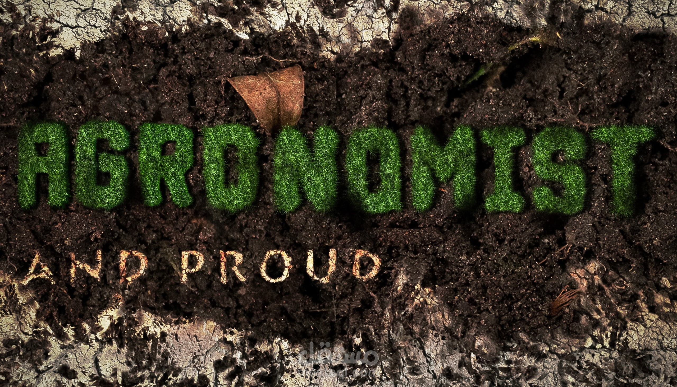 Agronomist - Text design