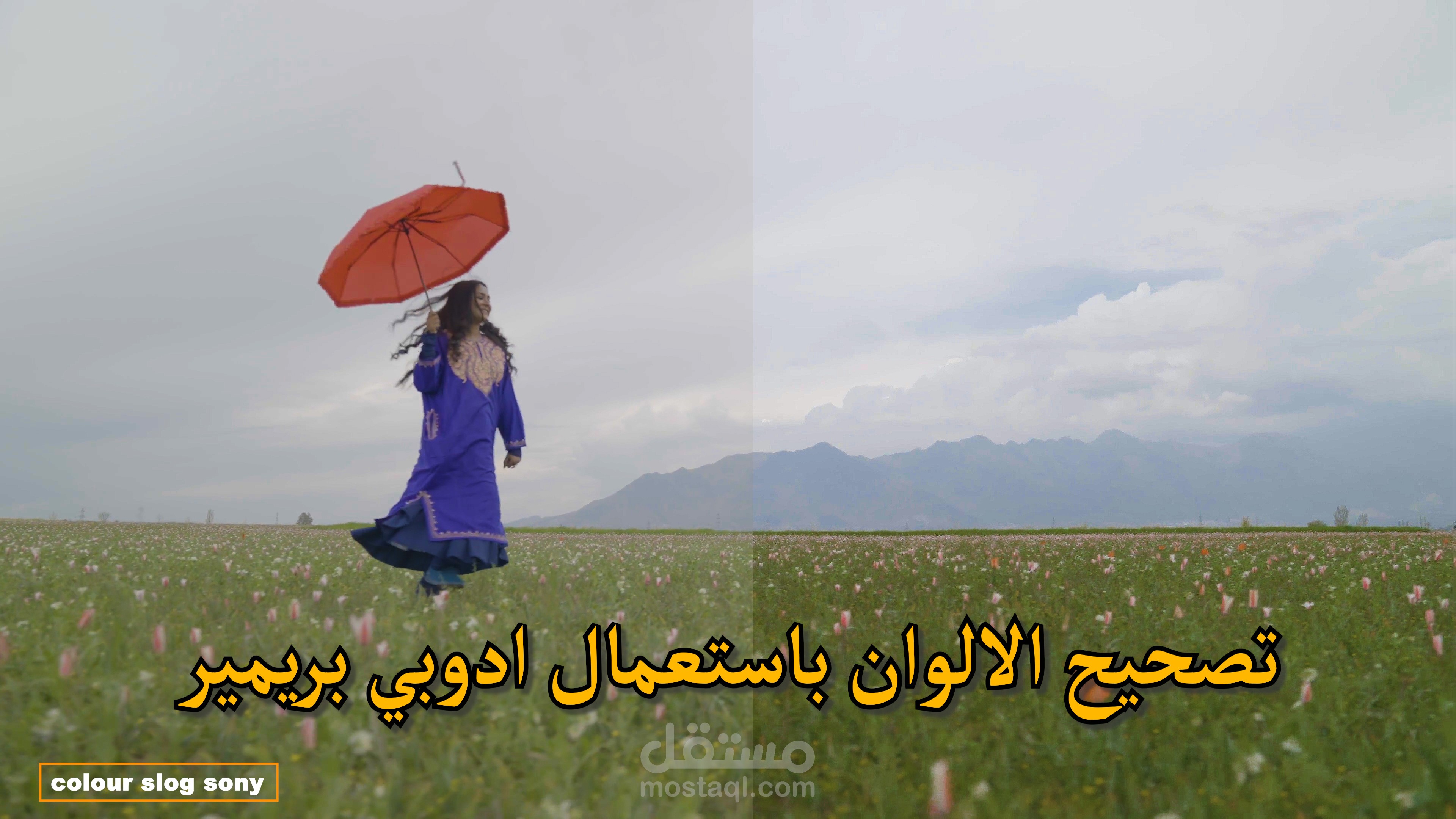 تصحيح الألوان في الادوبي بريمير