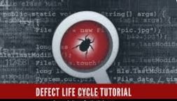 اختبار ضمان جودة البرميجات