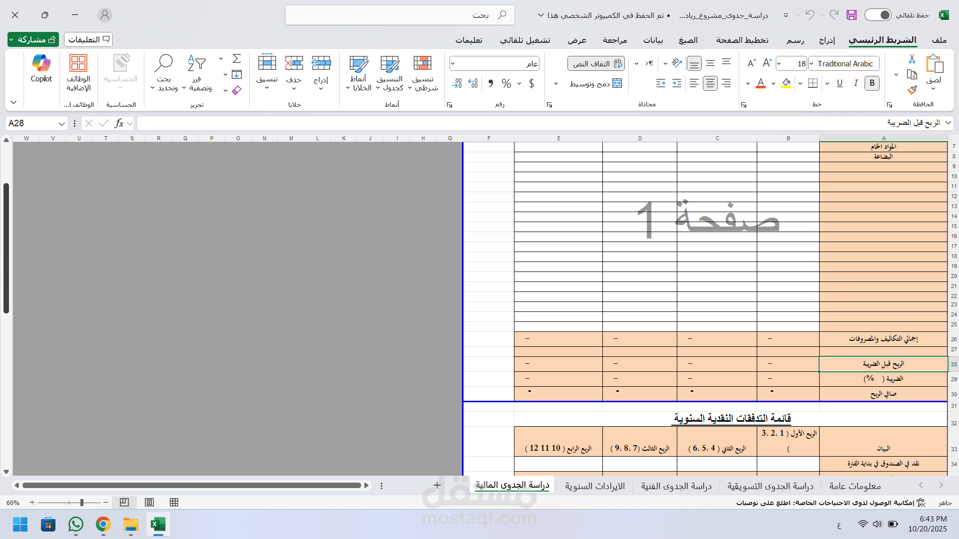 دراسة جدوى متكاملة
