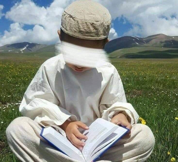 تحفيظ القرآن الكريم
