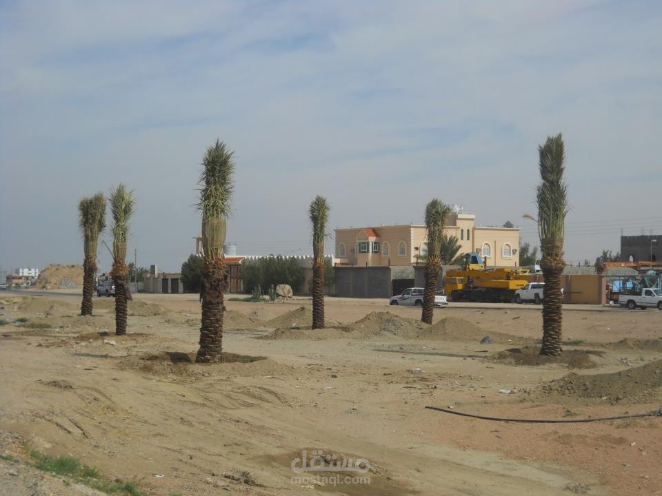 تنفيذ زراعه طريق السيل
