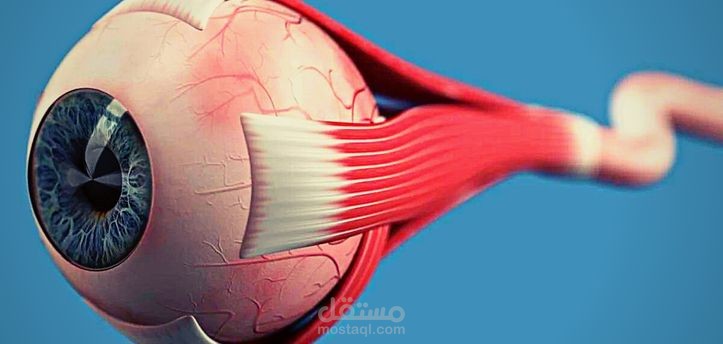 وذمة حليمة العصب البصري (Optic Nerve Swelling)