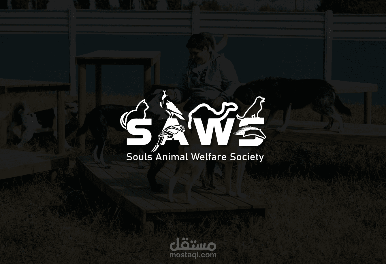 SAWS logo design project