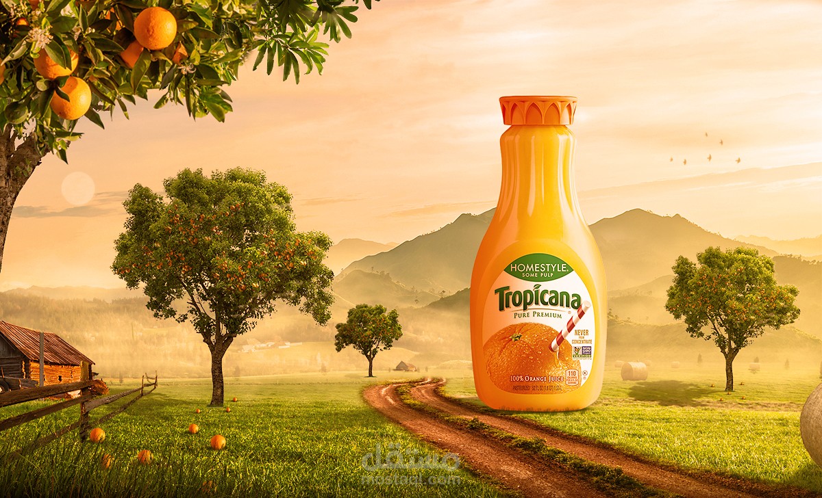 تصميم سوشال ميديا