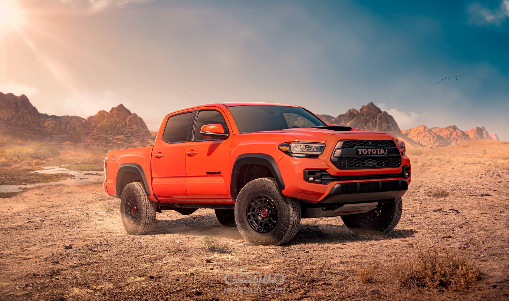 تصميم سوشال ميديا