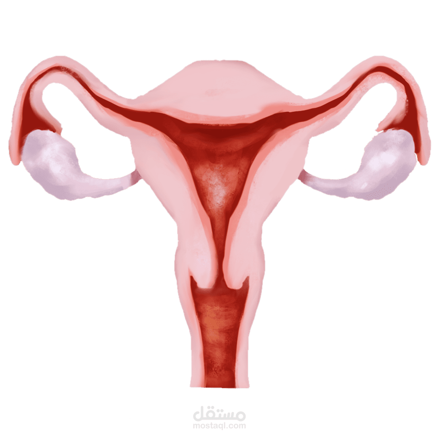 الهبات الساخنة عند النساء