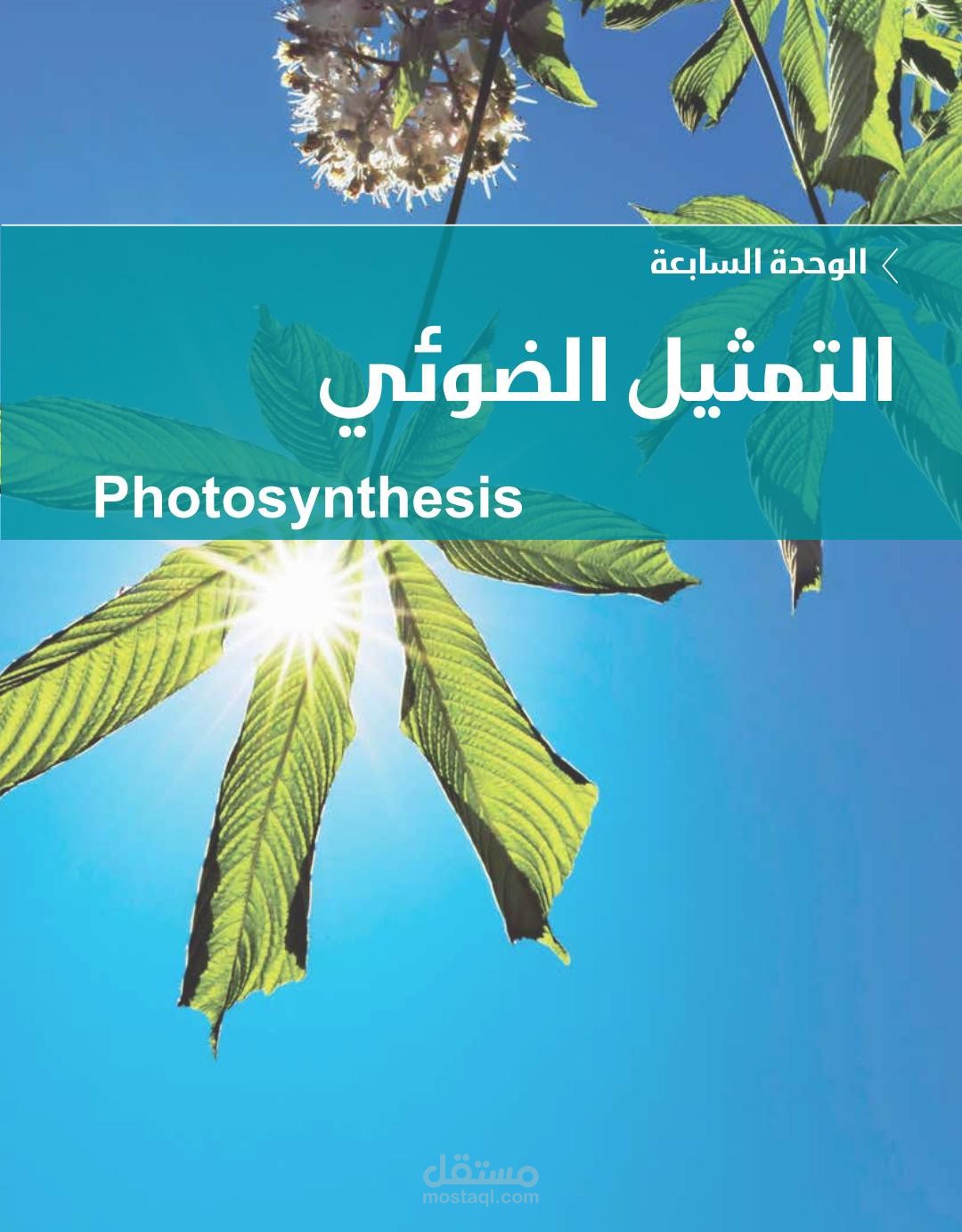 خدمة التفريغ الصوتي