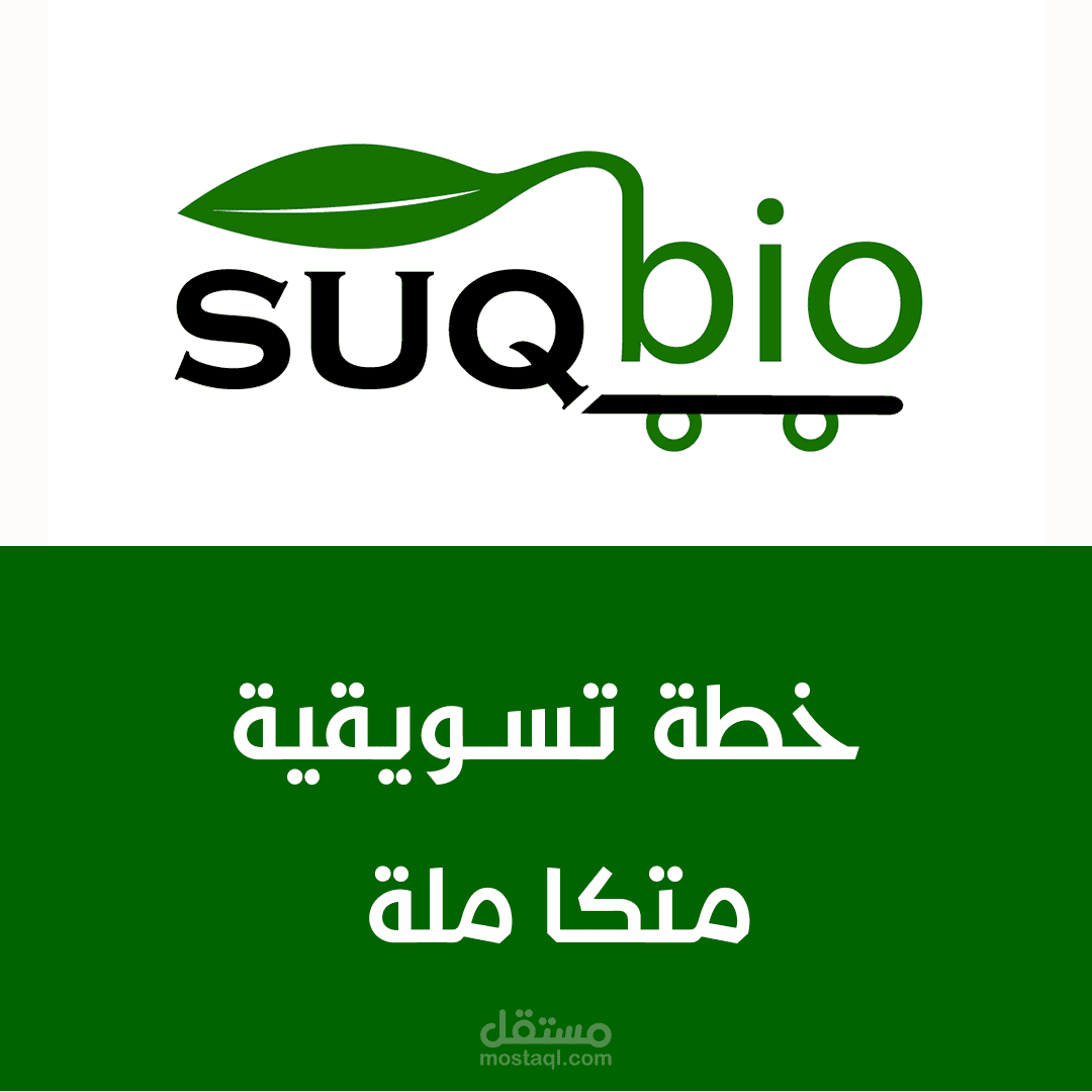 خطة تسويقية متكاملة