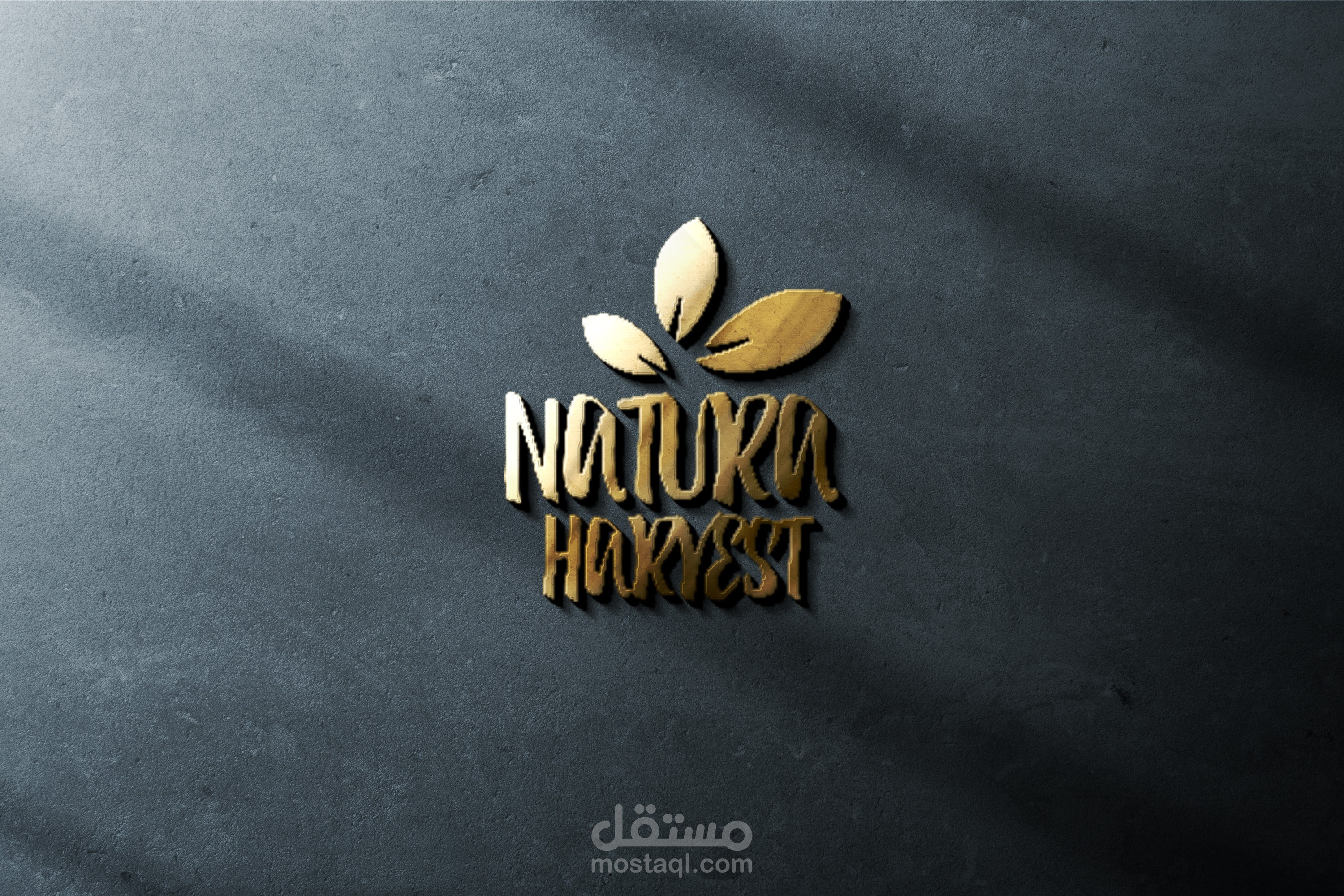 تصميم شعار NATURA HARVEST