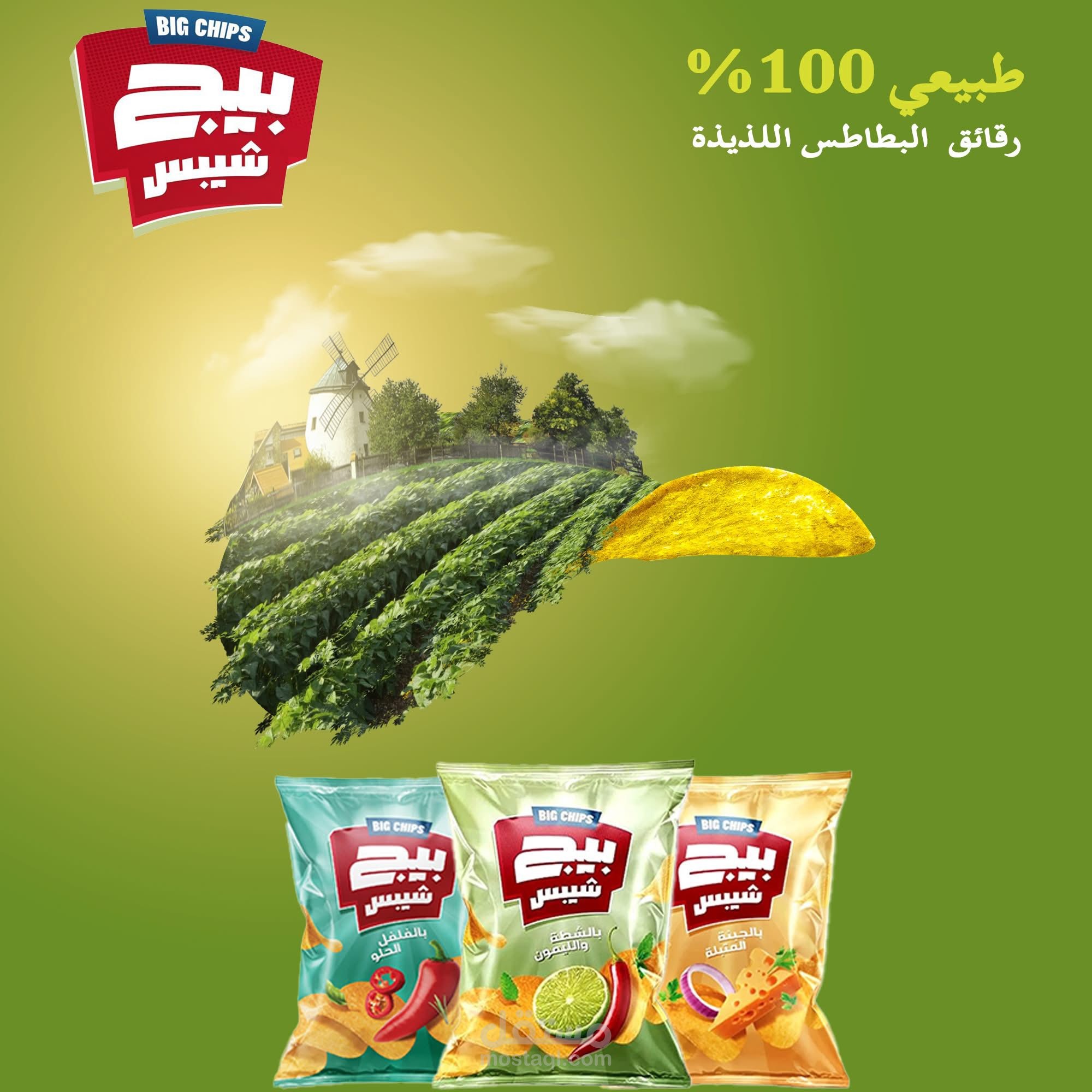 تصميمي لمنتج بطاطس شيبسي