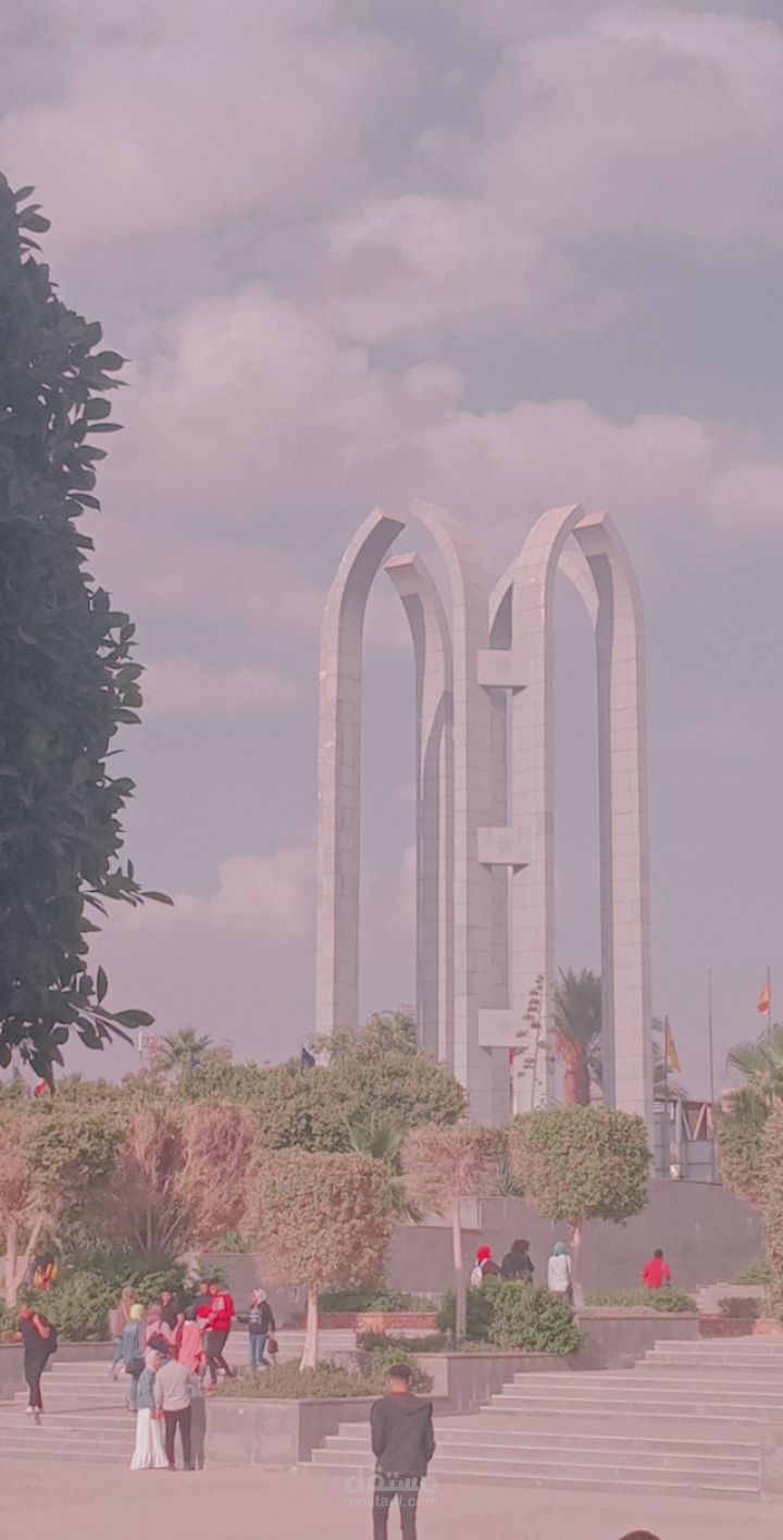 فى المريوطيه