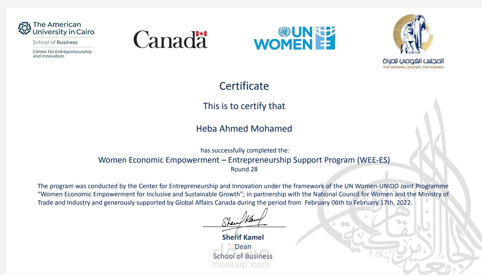 رواد الأعمال.. هيئة الأمم المتحدة