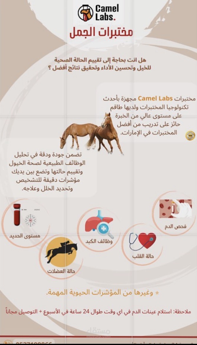 تصميم انفوجرافيك لجهة عملية