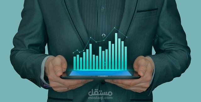 نظام داخلي لشركة