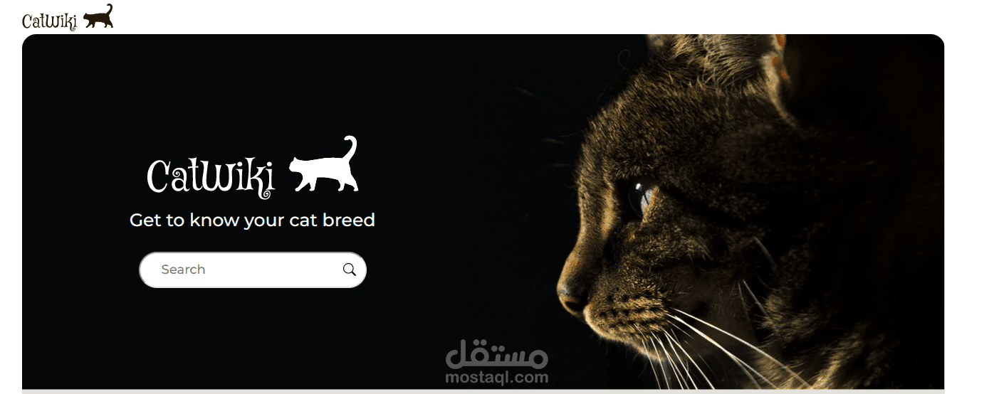 موقع يستخدم api خارجى لعرض معلومات عن القطط