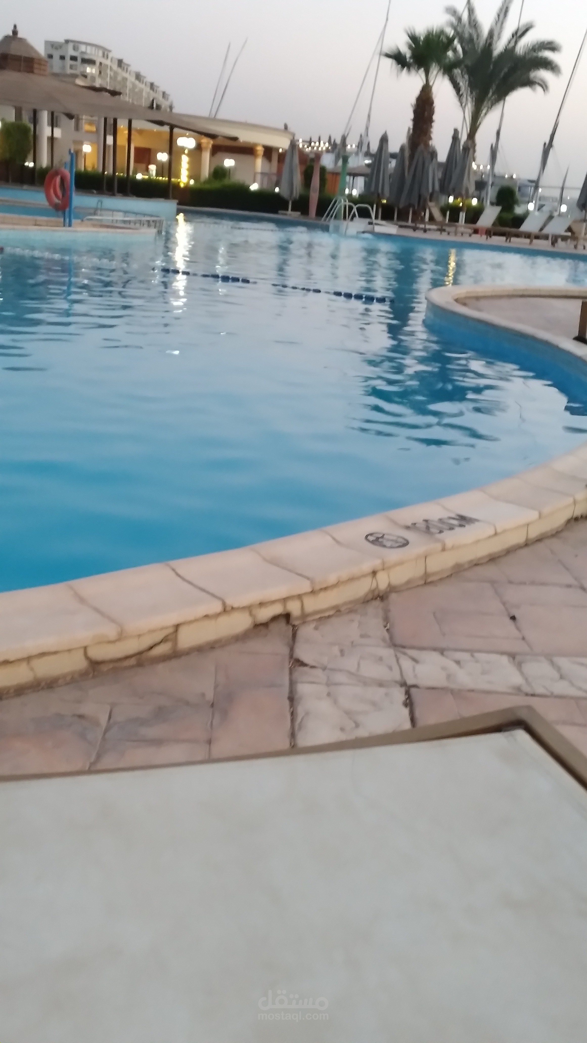 يوم مميز