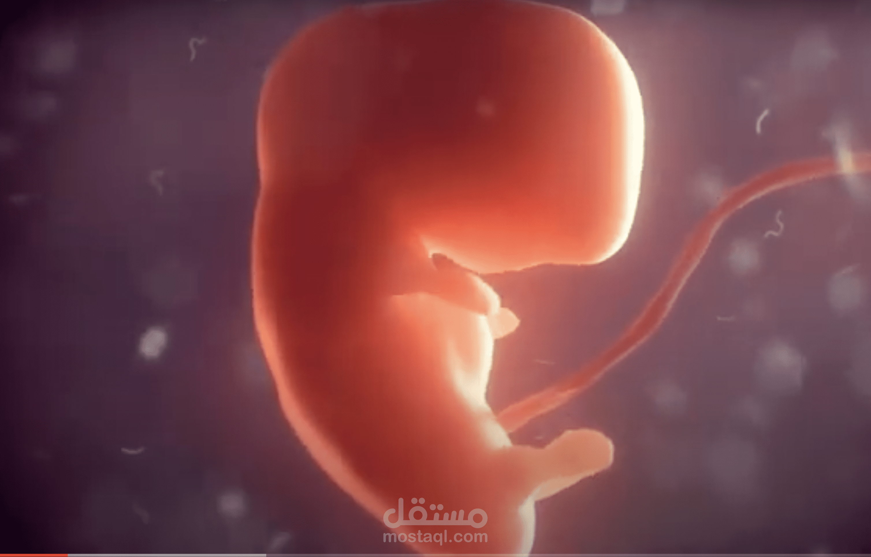 حملة التبرع بالدم بالكويت