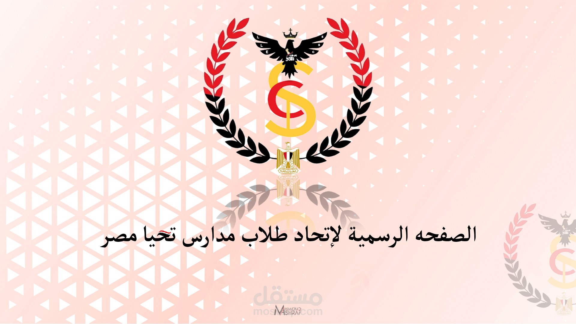 social media cover for tahya masr