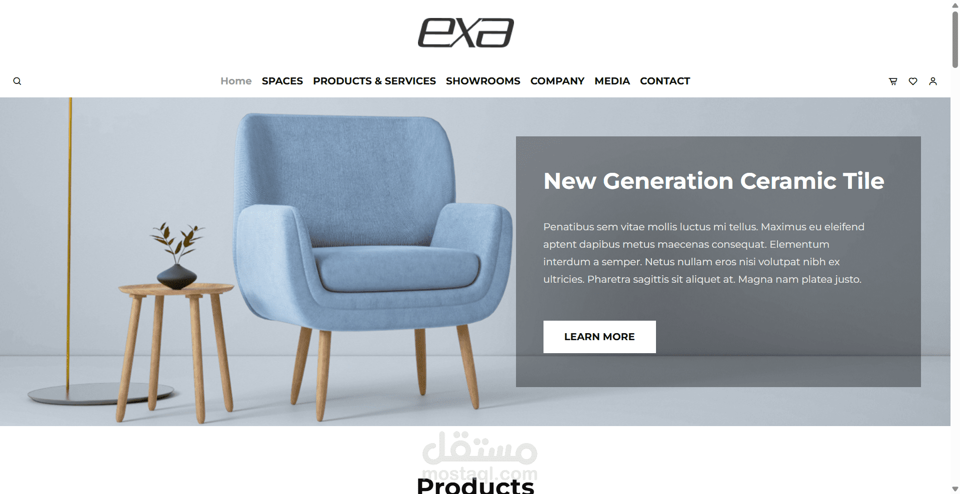 Exa project