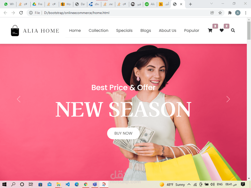 ecommerce website