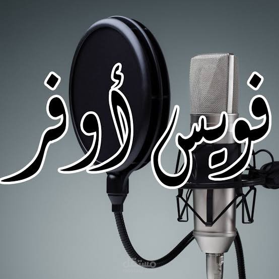 التعليق الصوتى