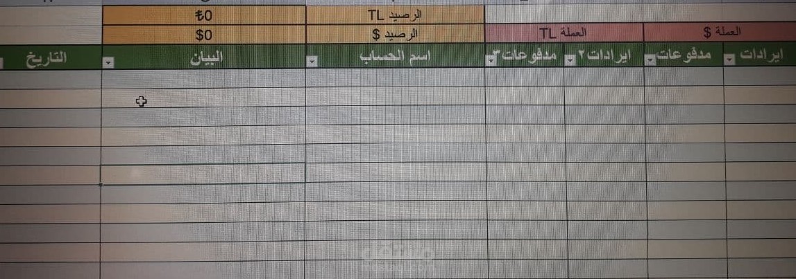 محاسب في جامعة خاصة