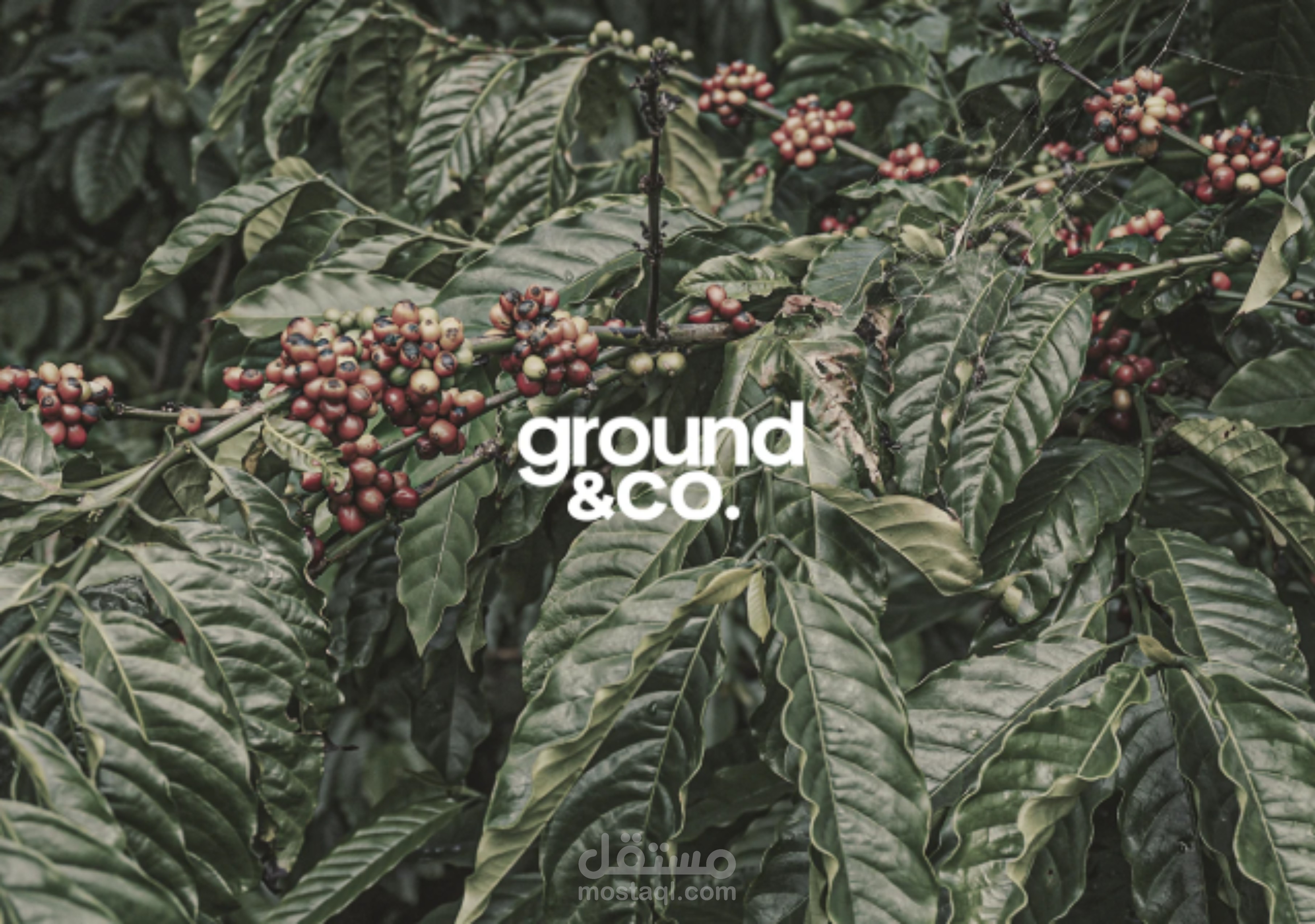 Ground&co