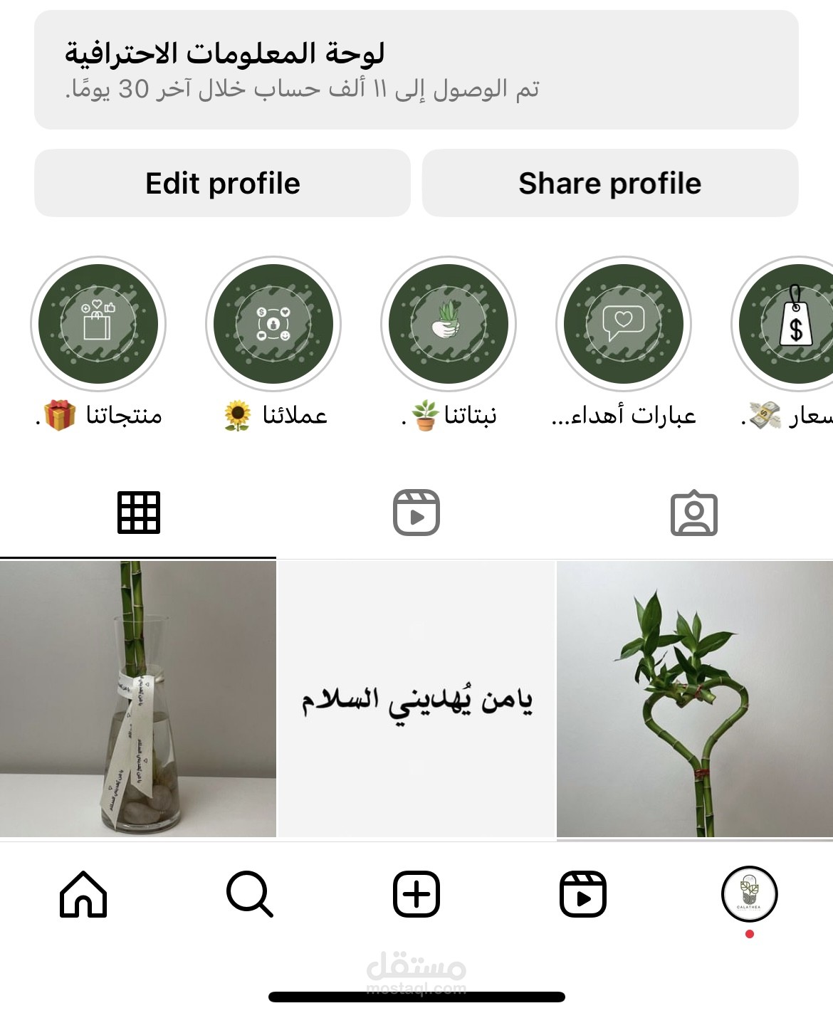 إدارة حسابات التواصل الاجتماعي تيك توك وأنستقرام