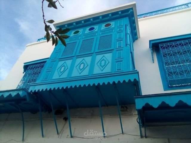 فيديو