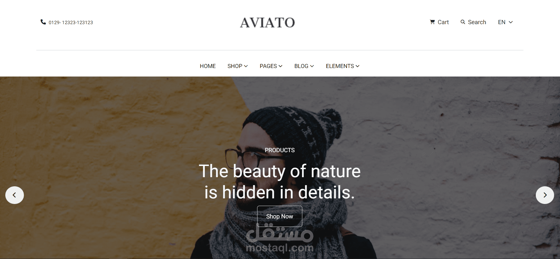 Aviato E-Commerce