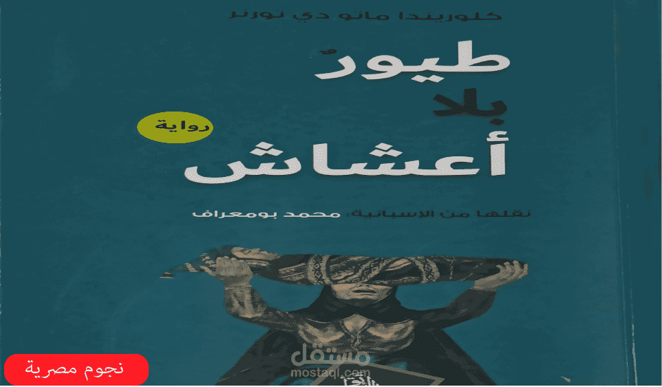 مقال قراءة في رواية طيور بلا أعشاش لكلوريندا ماتو دي تورنر