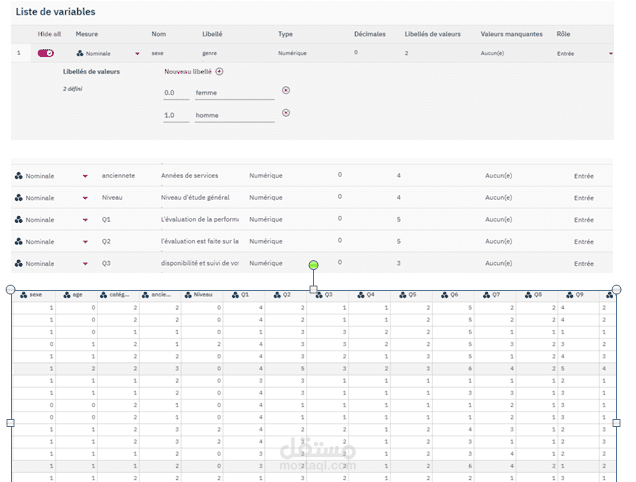 ادخال بيانات عن طريق برنامج IBM spss